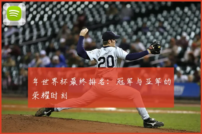 年世界杯最终排名：冠军与亚军的荣耀时刻