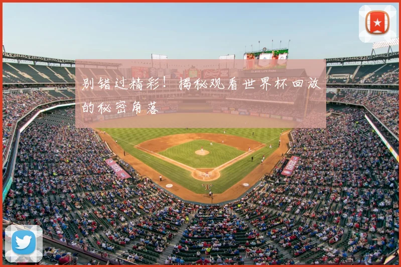别错过精彩！揭秘观看世界杯回放的秘密角落