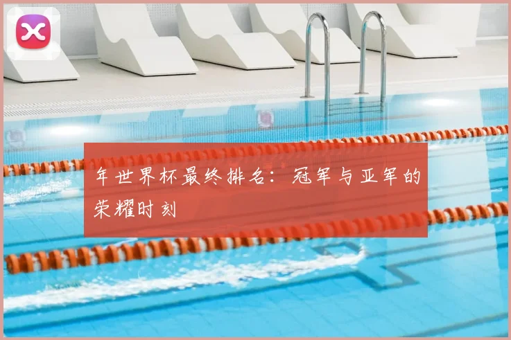 年世界杯最终排名：冠军与亚军的荣耀时刻